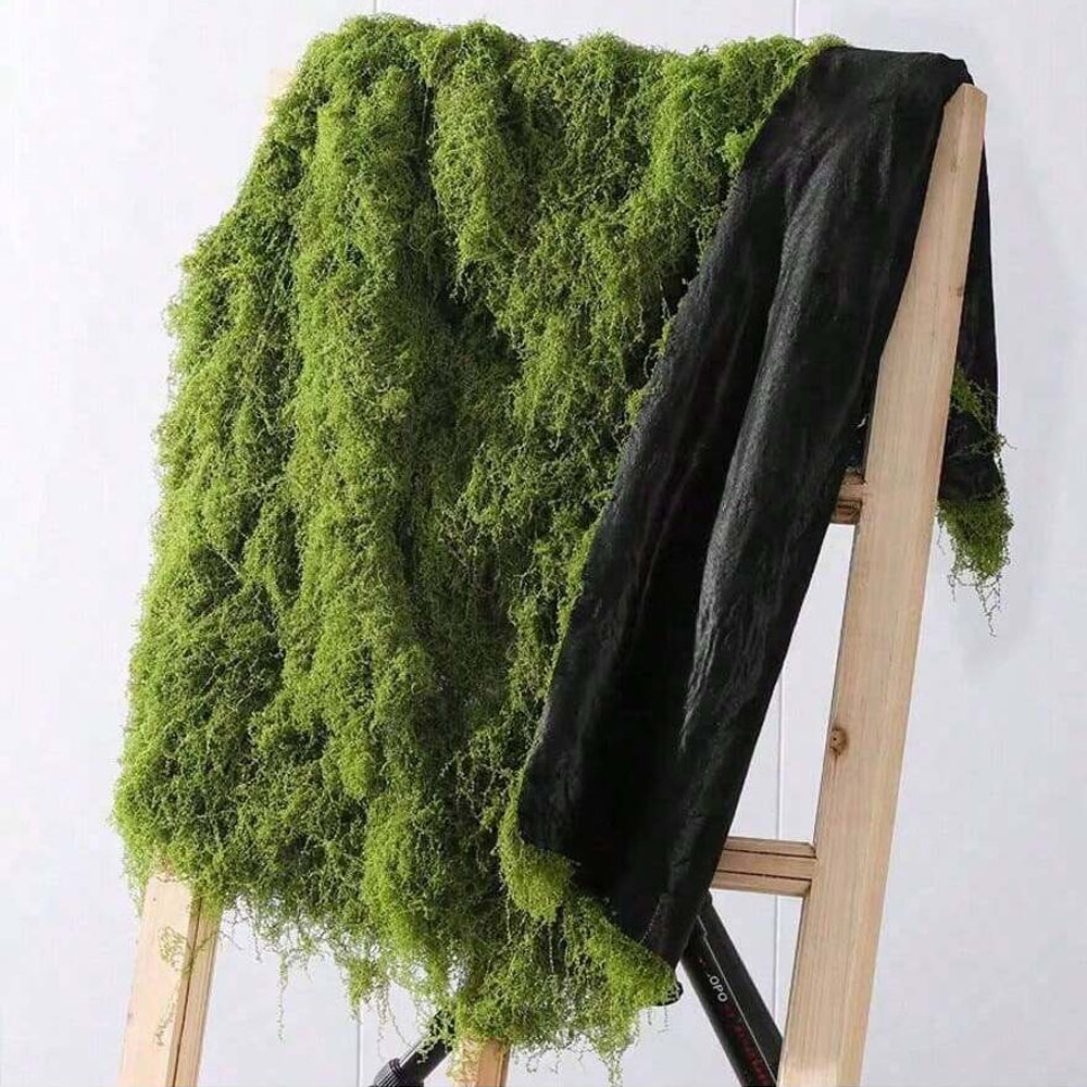 Pilea Peperomioides - 1*1m Fake Moss DIY Crafts Grass