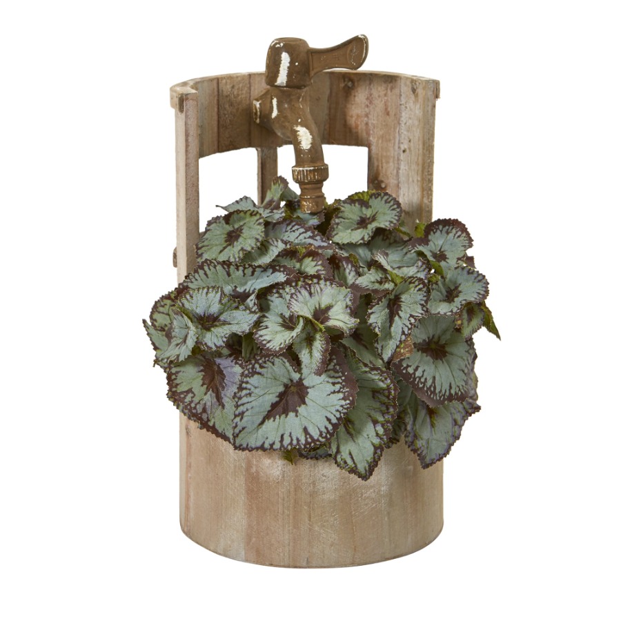 12in. Rex Begonia Artificial P - Begonia Rex 评论和价格