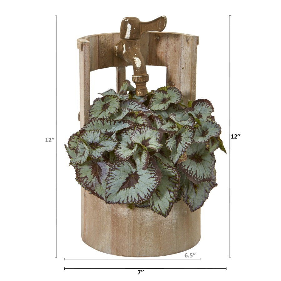 12in. Rex Begonia Artificial P - Begonia Rex 评论和价格