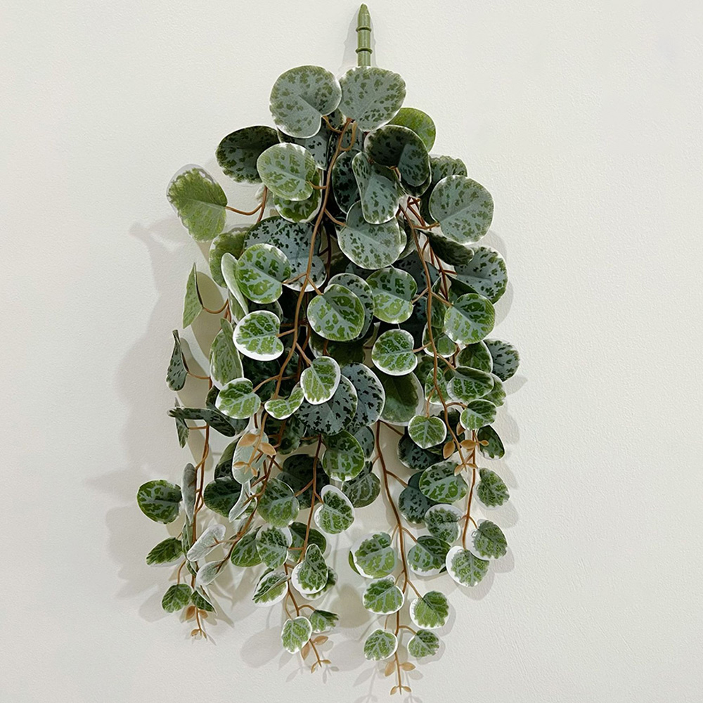 49cm Artificial Plants Vines F - Pilea Peperomioides 评论和价格