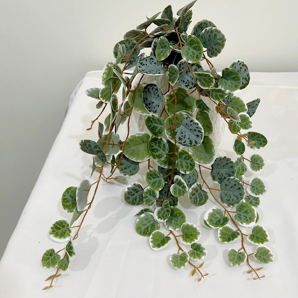 49cm Artificial Plants Vines F - Pilea Peperomioides 评论和价格