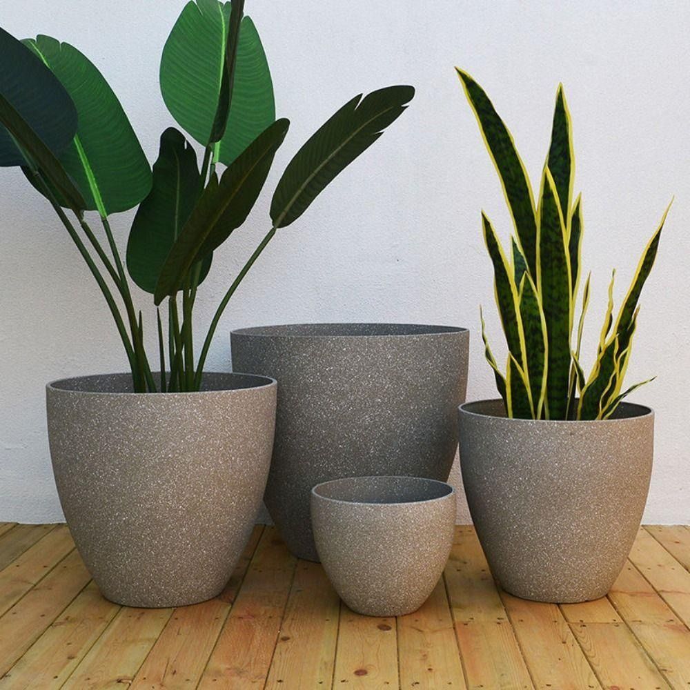 Frosted Imitation Stone Bonsai - Pilea Peperomioides 评论和价格