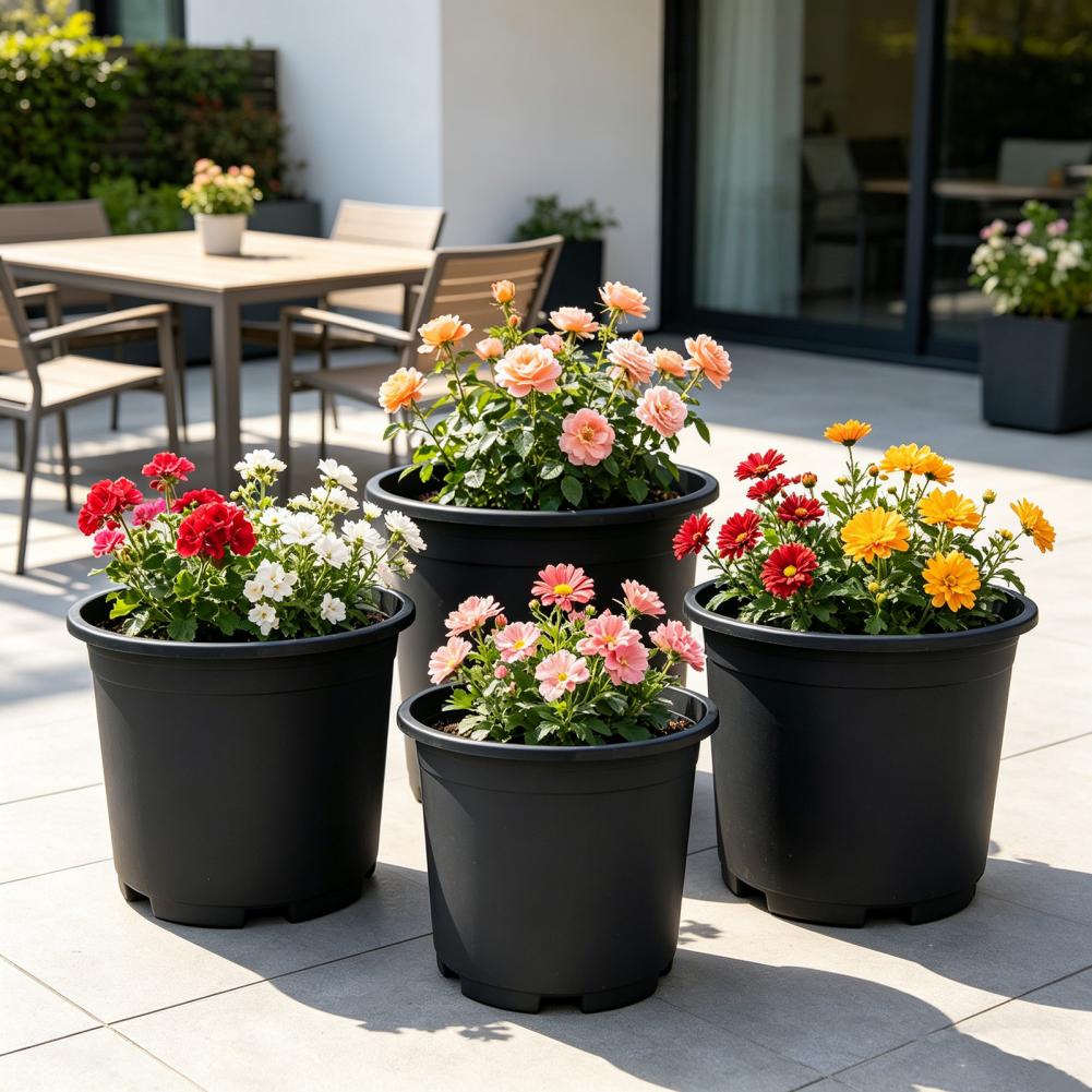 Indoor Plant Pot Black Plastic - Aloe Vera Pot 评论和价格