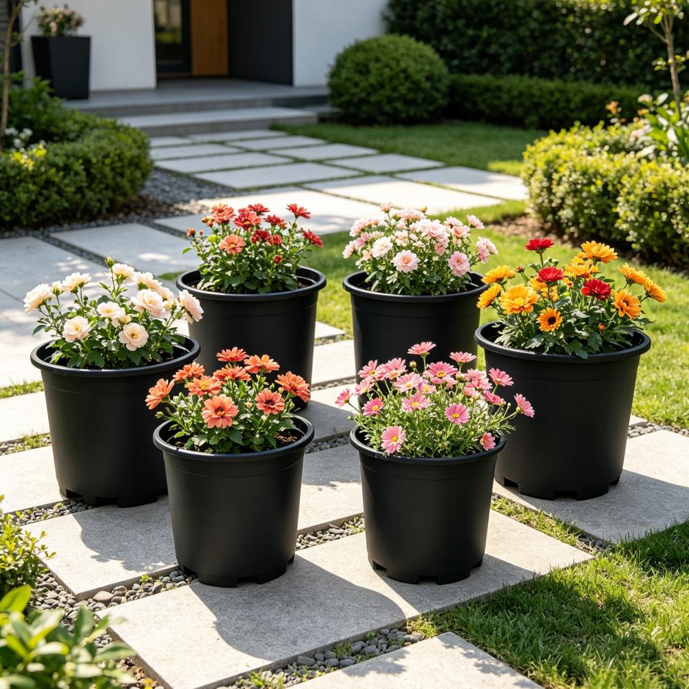 Indoor Plant Pot Black Plastic - Aloe Vera Pot 评论和价格