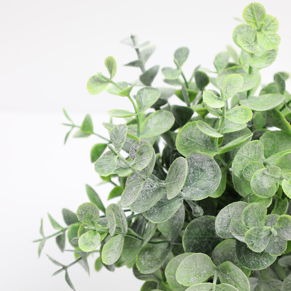 Artificial Plant Potted Eucaly - Pilea Peperomioides 评论和价格