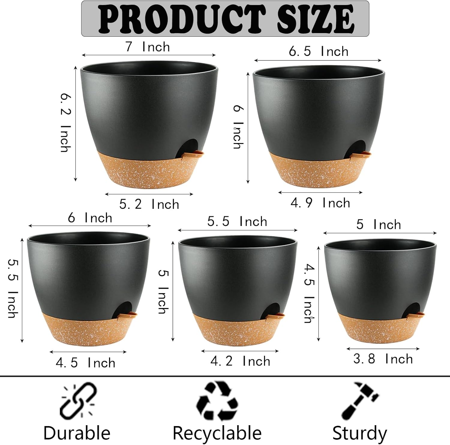 Self Watering Plant Pots with  - Echeveria Succulent 评论和价格