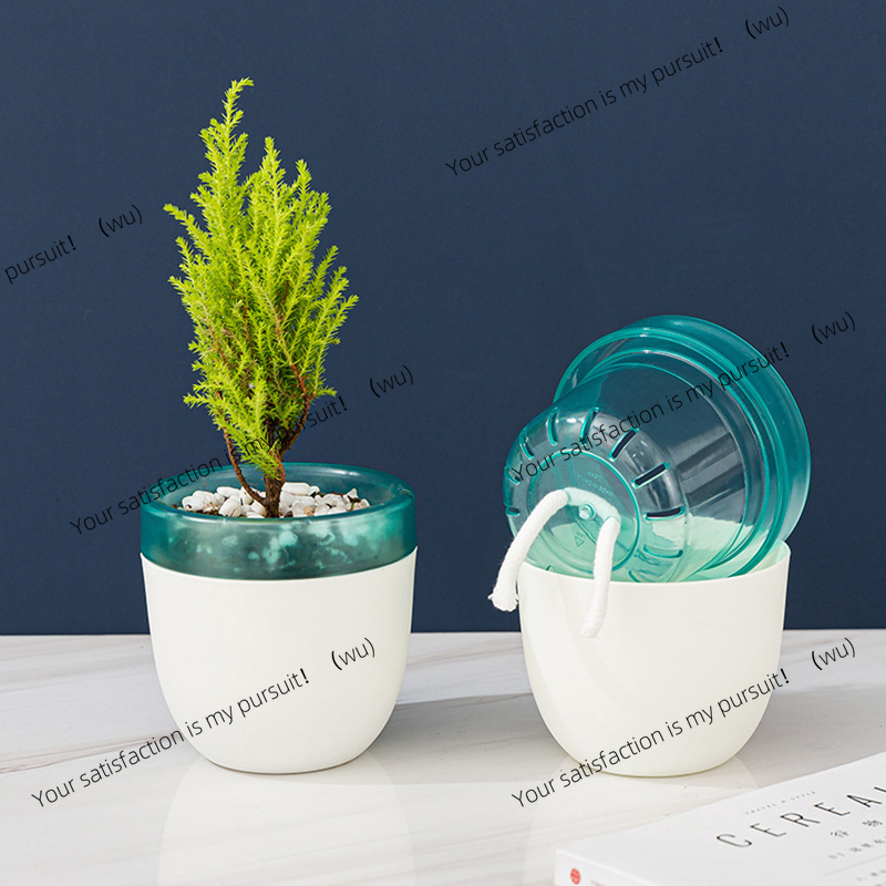 Automatic Water Absorption Laz - Aloe Vera Pot 评论和价格