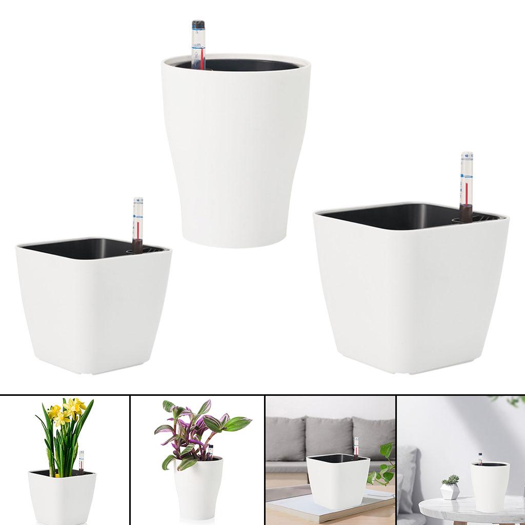 Self Watering Flower Pots Plan - Aloe Vera Pot 评论和价格