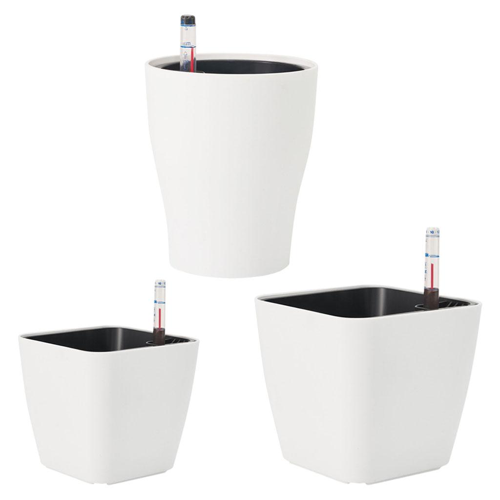 Self Watering Flower Pots Plan - Aloe Vera Pot 评论和价格