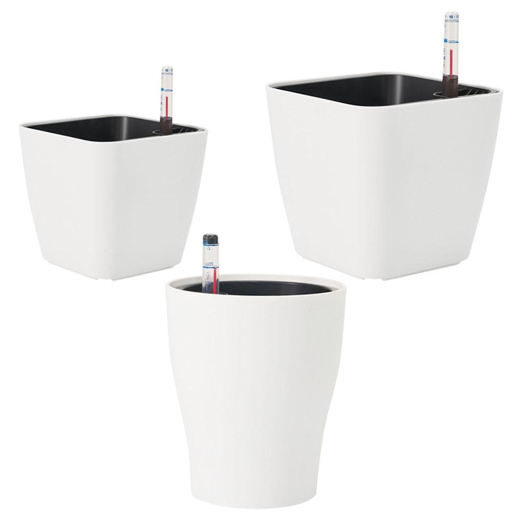 Self Watering Flower Pots Plan - Aloe Vera Pot 评论和价格