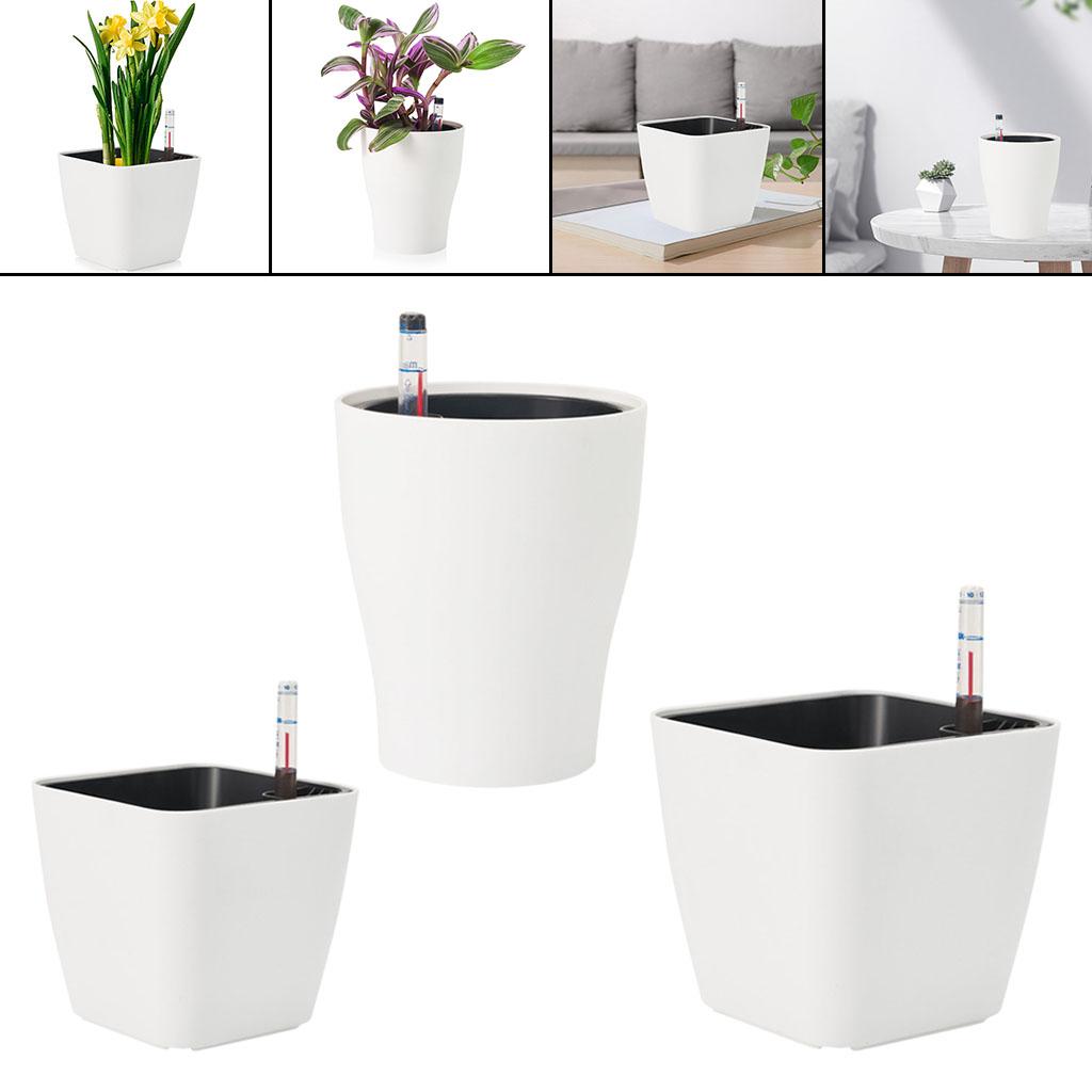 Self Watering Flower Pots Plan - Aloe Vera Pot 评论和价格