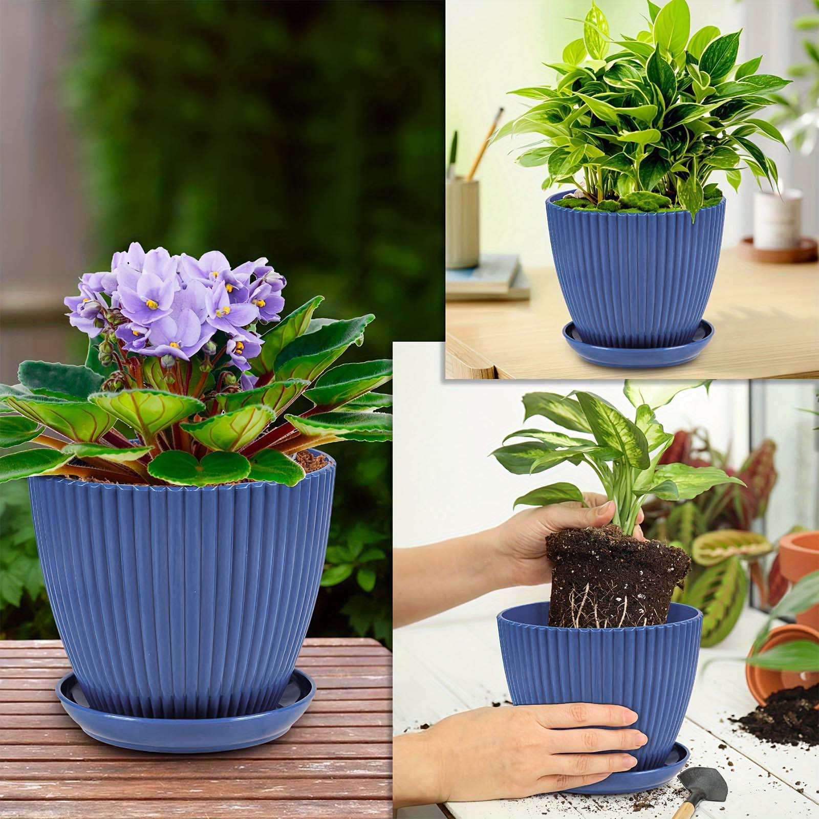 Vertical Striped Thickened Pla - Pilea Peperomioides 评论和价格