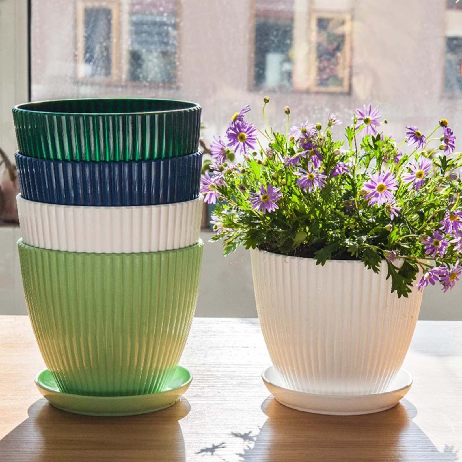 Vertical Striped Thickened Pla - Pilea Peperomioides 评论和价格