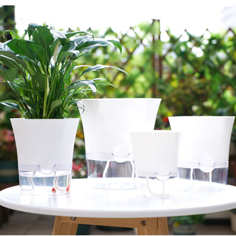 Mini Plant Pot Hydroponic Flow - Aloe Vera Pot 评论和价格
