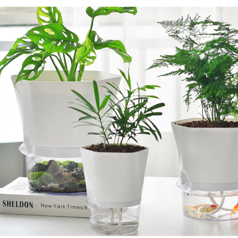 Mini Plant Pot Hydroponic Flow - Aloe Vera Pot 评论和价格