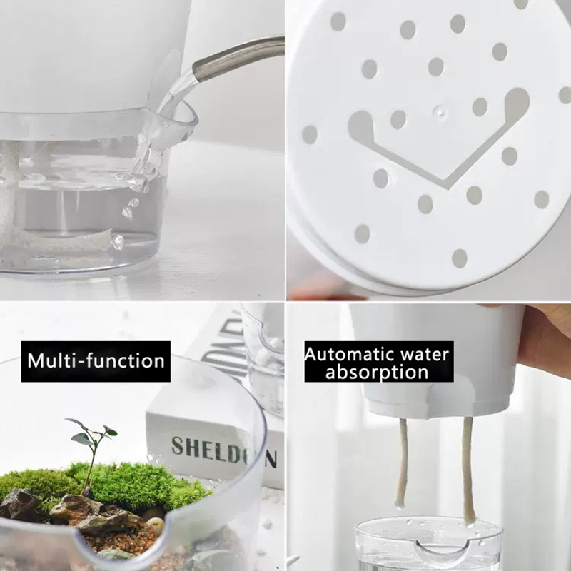 Mini Plant Pot Hydroponic Flow - Aloe Vera Pot 评论和价格