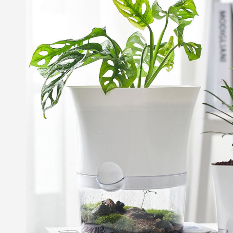Mini Plant Pot Hydroponic Flow - Aloe Vera Pot 评论和价格