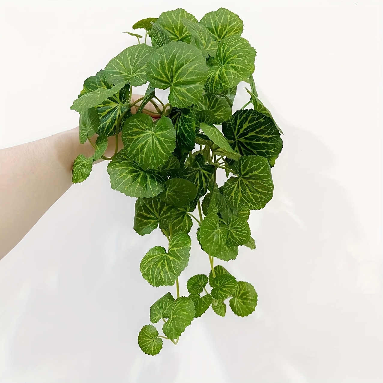 An artificial hanging vine pla - Pilea Peperomioides 评论和价格