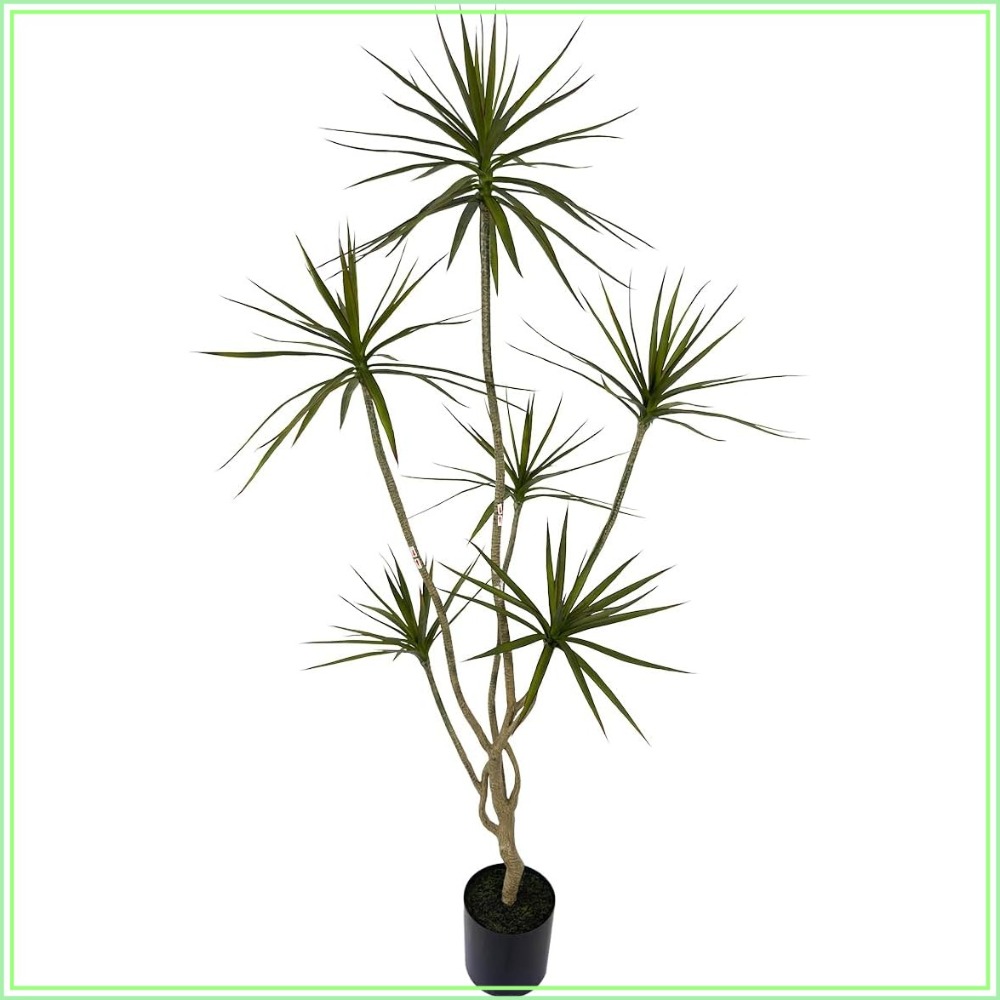 6ft Tall Artificial Dracaena M - Dracaena Marginata 评论和价格