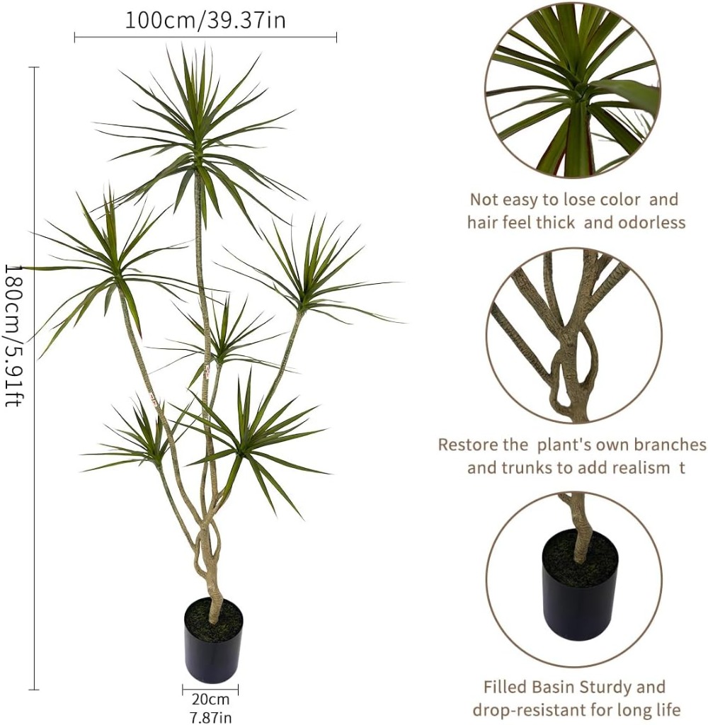 6ft Tall Artificial Dracaena M - Dracaena Marginata 评论和价格