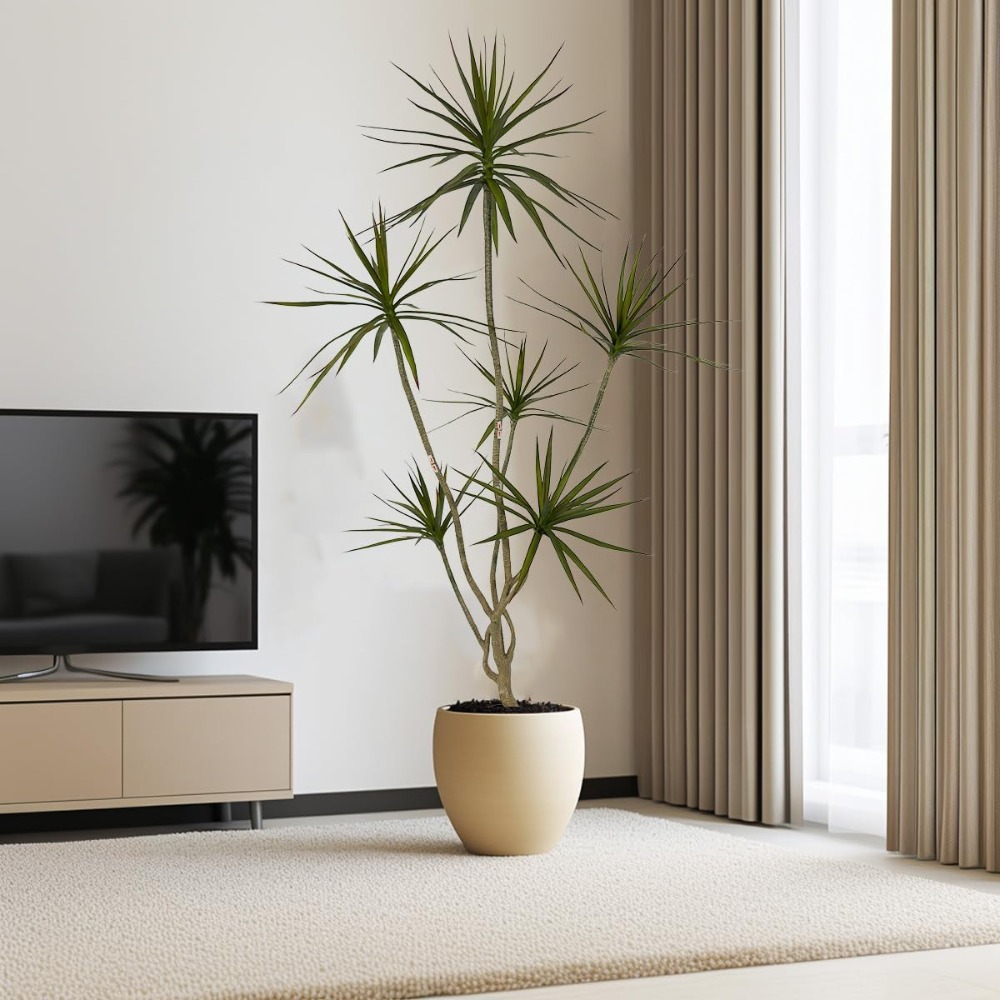6ft Tall Artificial Dracaena M - Dracaena Marginata 评论和价格