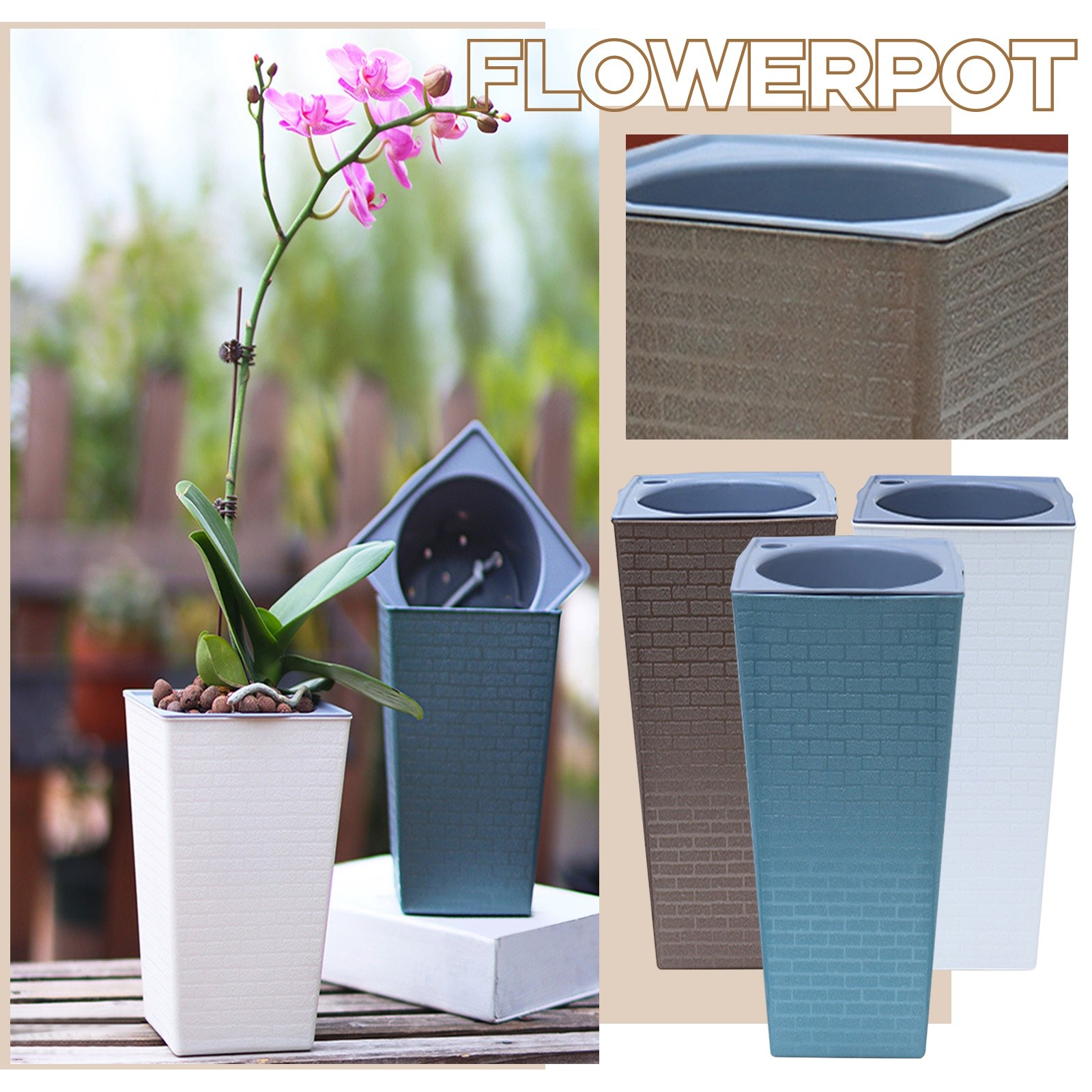 Bonsai-pattern Square Flowerpo - Pilea Peperomioides 评论和价格