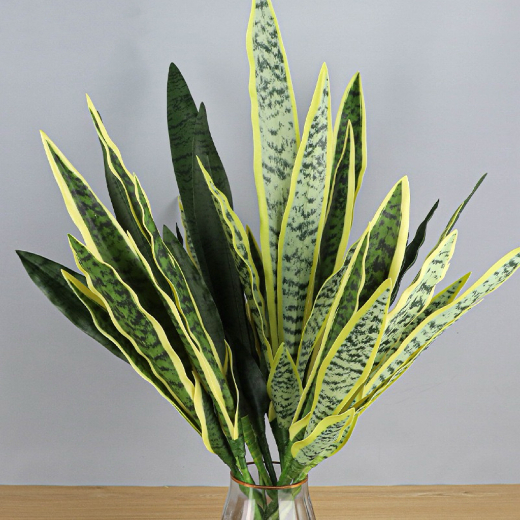 Nordic Tropical Yellow  Aloe V - Aloe Vera Pot 评论和价格