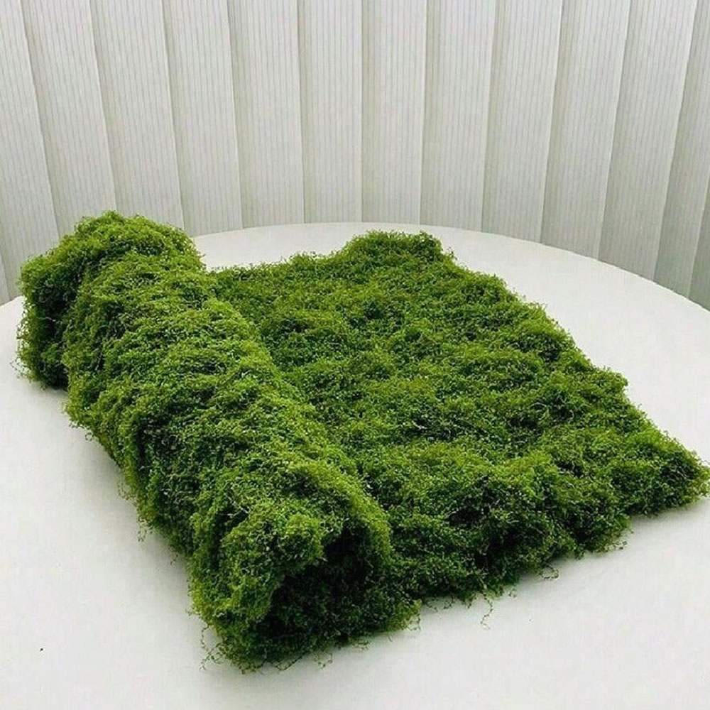 1*1m Fake Moss DIY Crafts Gras - Pilea Peperomioides 评论和价格