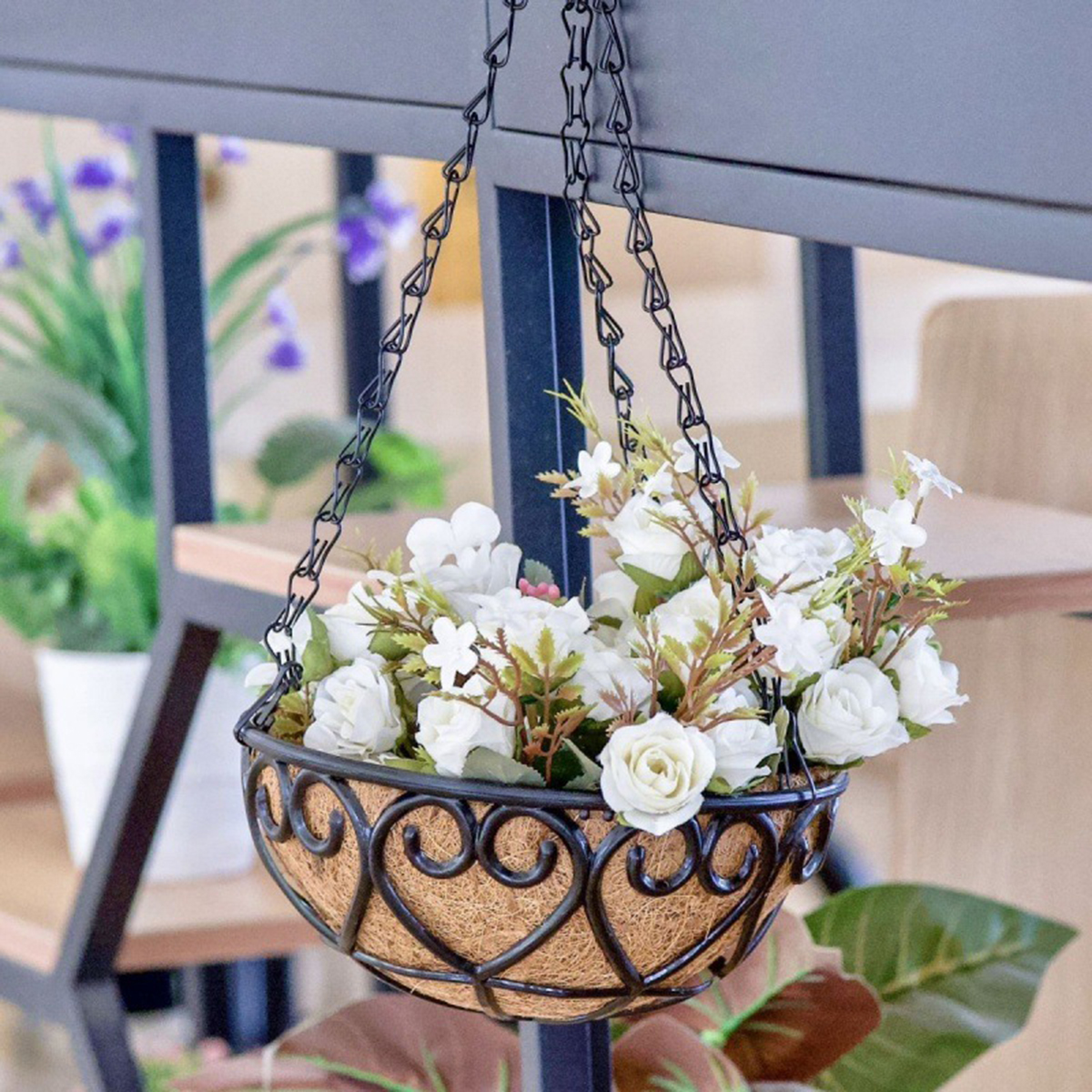 Coconut Liner Iron Chain Hangi - Spider Plant Hanging 评论和价格