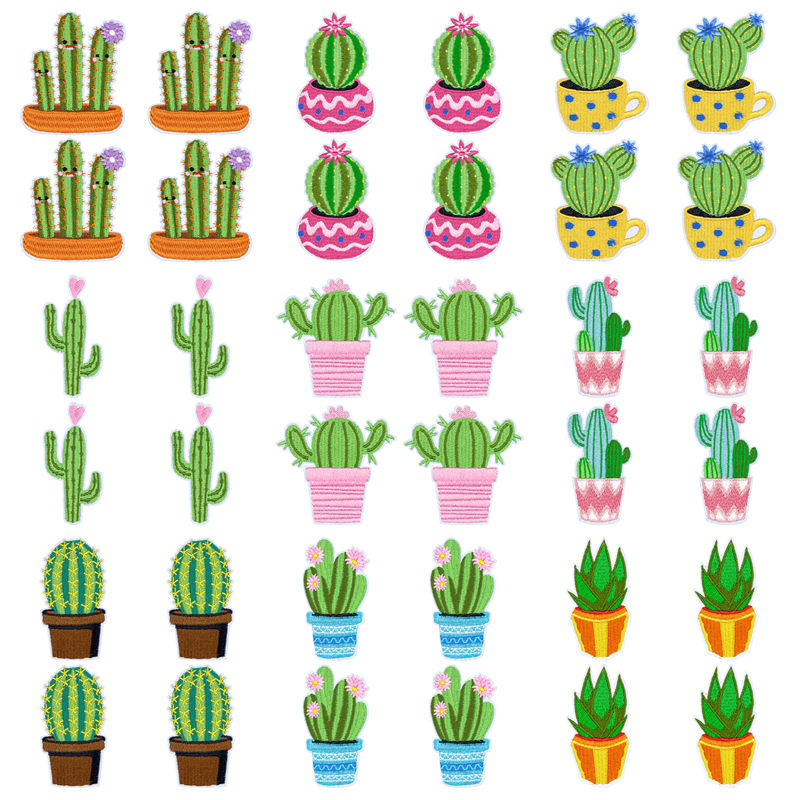 10Pcs/Lot Western Desert Iron  - Aloe Vera Pot 评论和价格