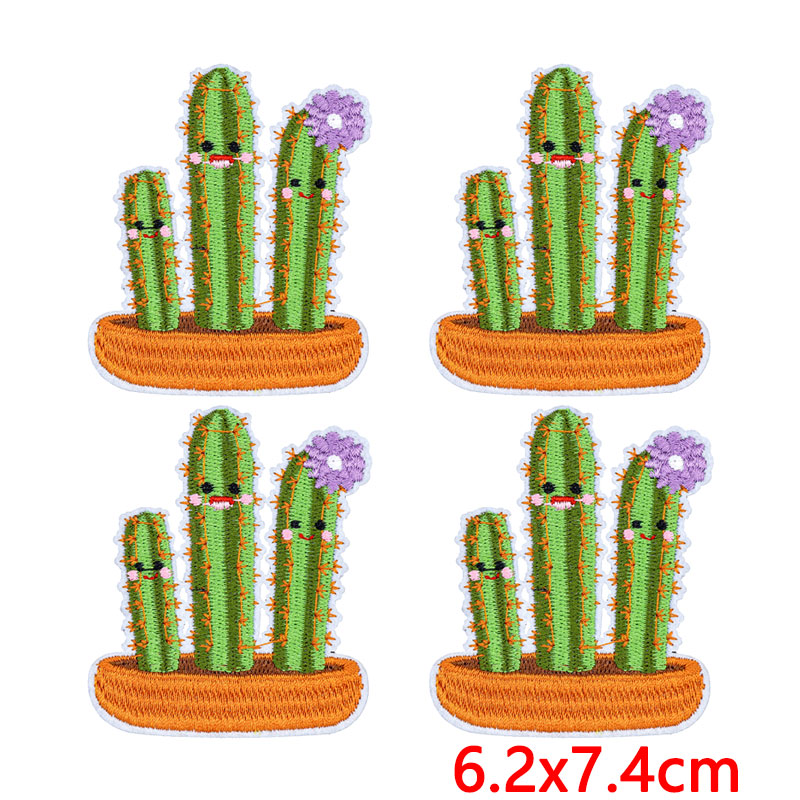 10Pcs/Lot Western Desert Iron  - Aloe Vera Pot 评论和价格