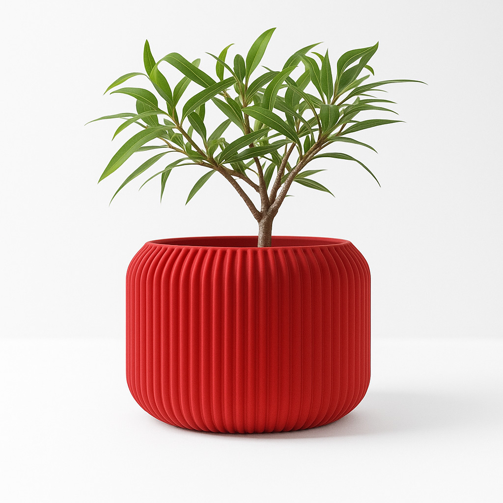 Modern Minimalist 3D Printed P - Aloe Vera Pot 评论和价格