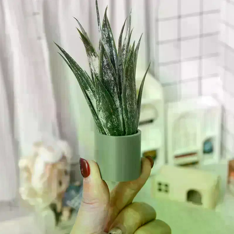Dollhouse Decor Mini Aloe Vera - Aloe Vera Pot 评论和价格