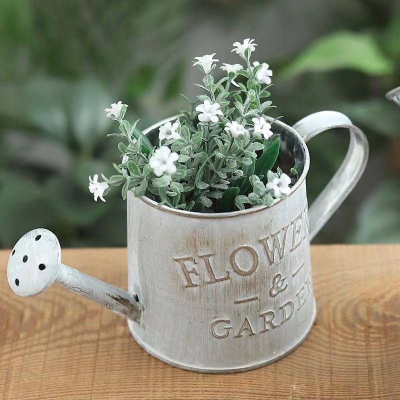 Barrels Garden Decoration Tin  - Pilea Peperomioides 评论和价格