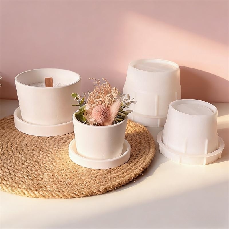 Round Plaster Vase Flowerpot C - Echeveria Succulent 评论和价格