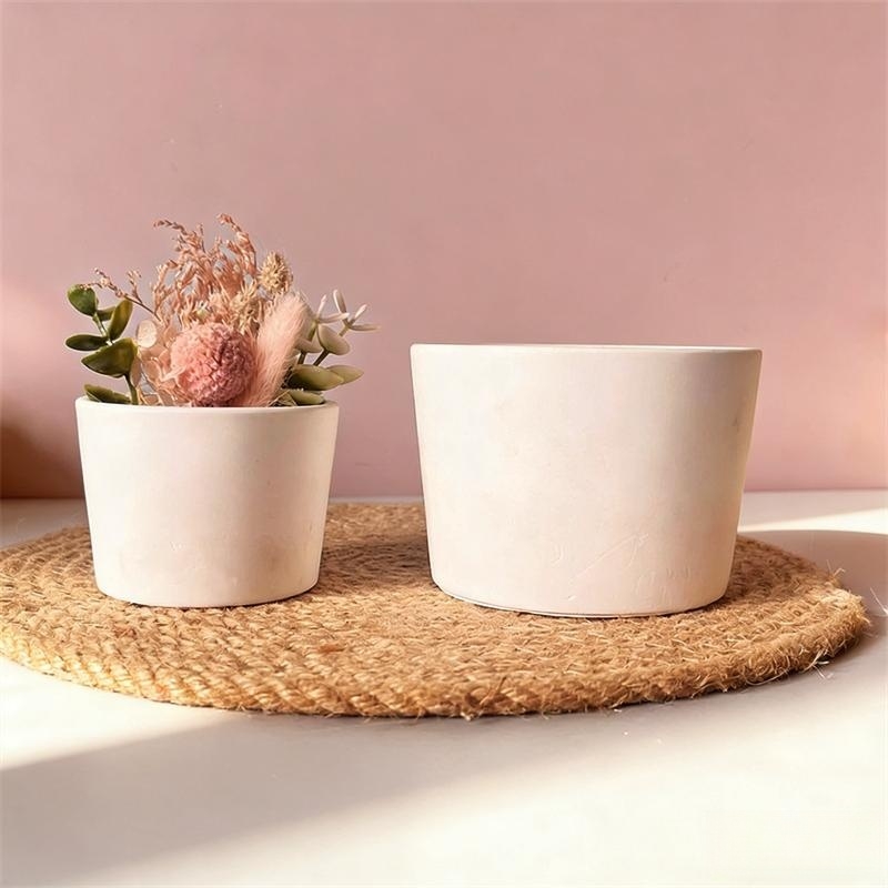 Round Plaster Vase Flowerpot C - Echeveria Succulent 评论和价格