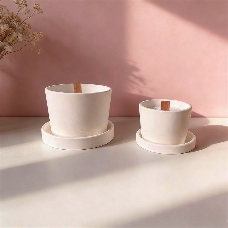 Round Plaster Vase Flowerpot C - Echeveria Succulent 评论和价格