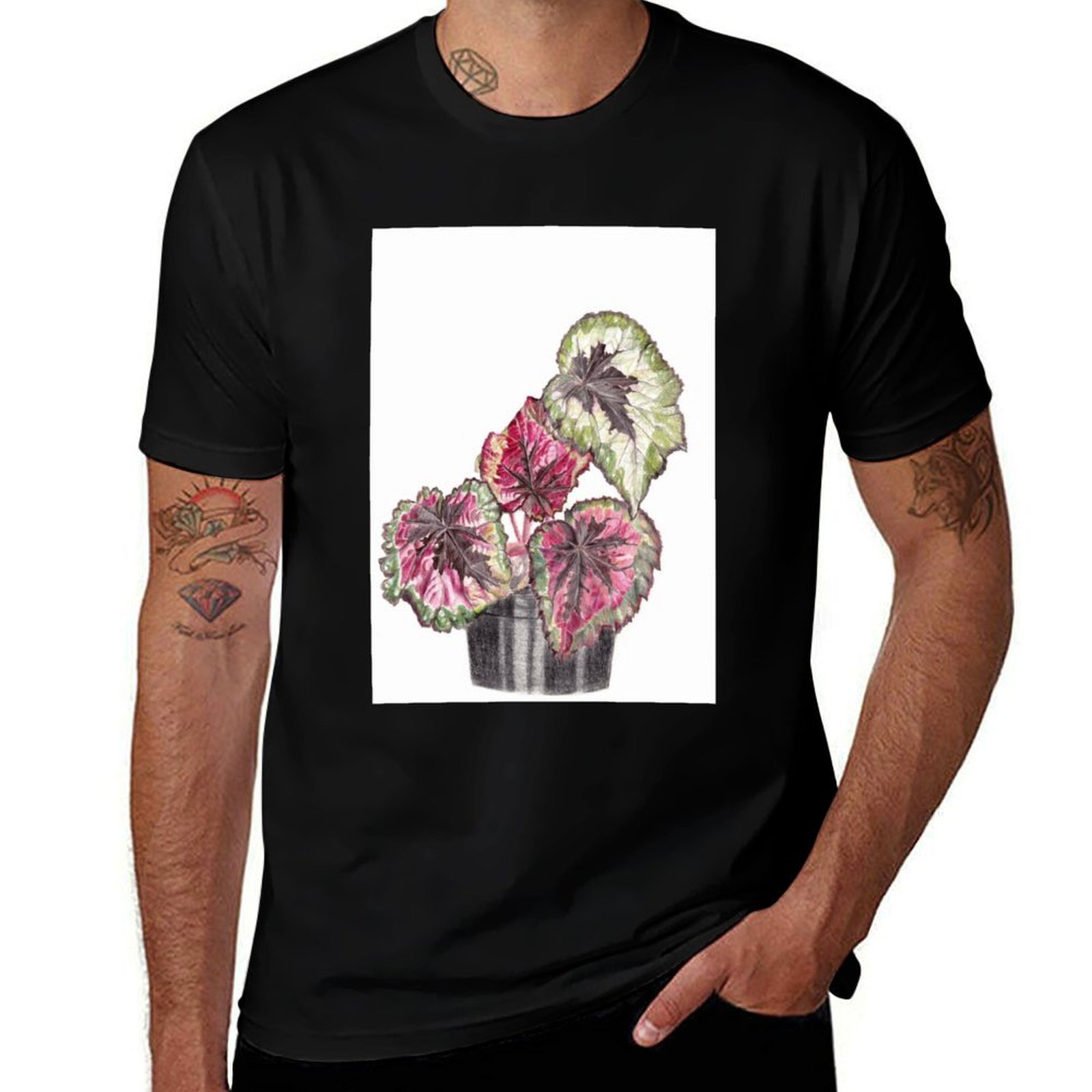 Begonia Rex T-Shirt Simple Gra - Begonia Rex 评论和价格