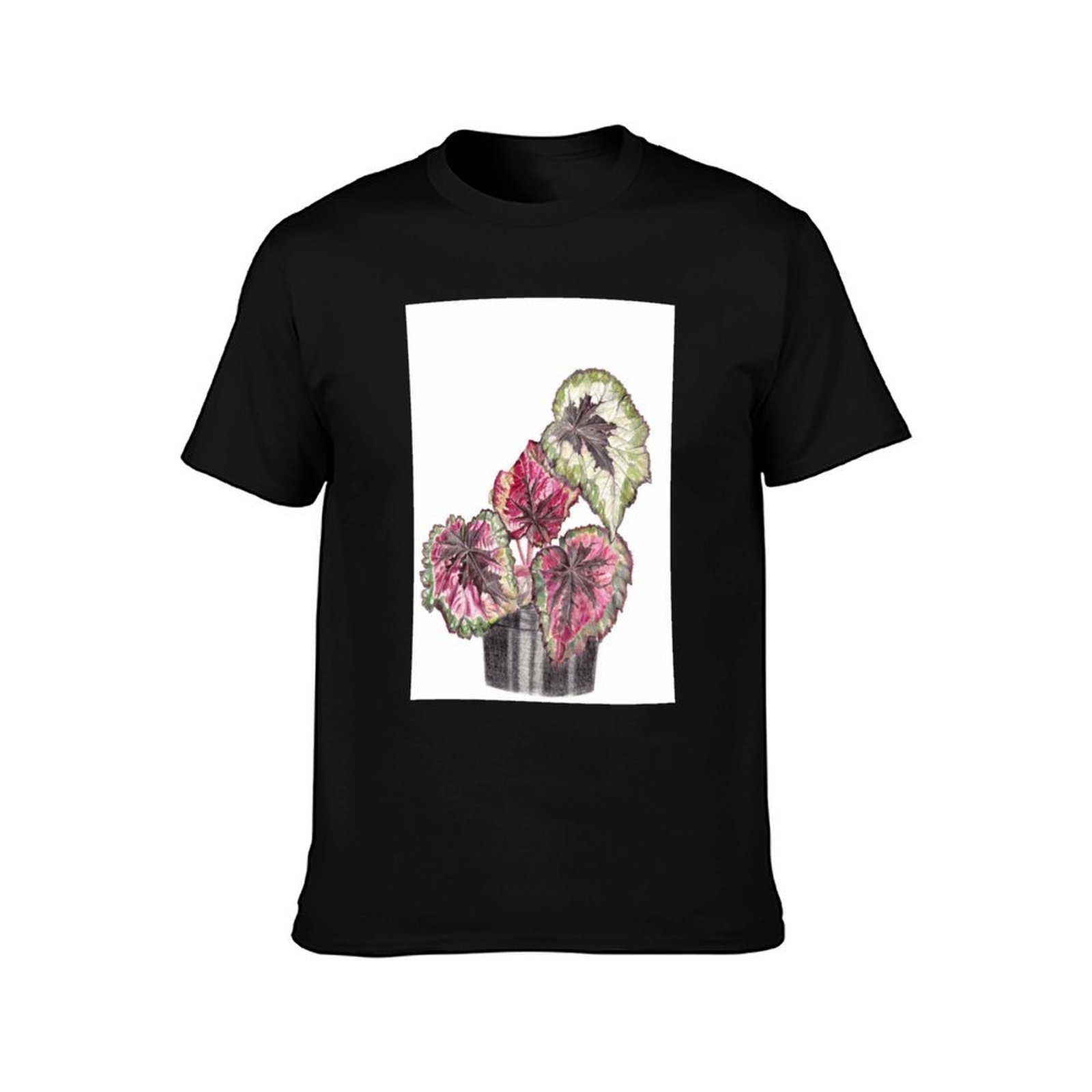 Begonia Rex T-Shirt Simple Gra - Begonia Rex 评论和价格