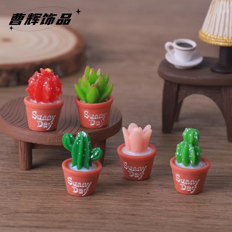 5pcs Simulation succulent pott - Echeveria Succulent 评论和价格