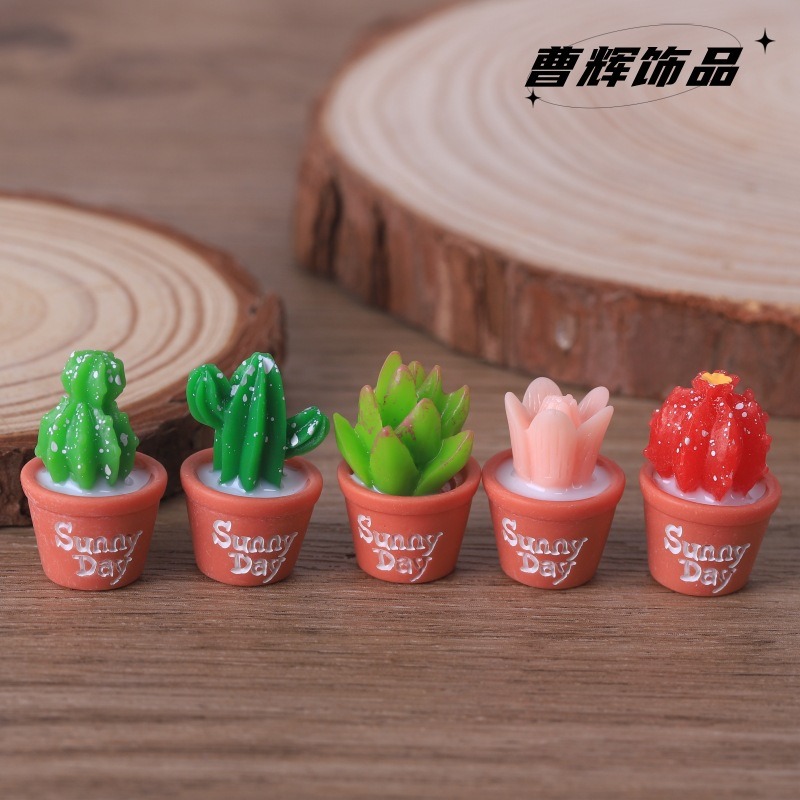 5pcs Simulation succulent pott - Echeveria Succulent 评论和价格