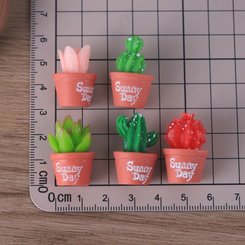 5pcs Simulation succulent pott - Echeveria Succulent 评论和价格