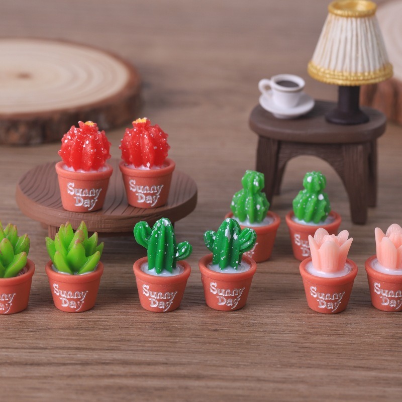 5pcs Simulation succulent pott - Echeveria Succulent 评论和价格