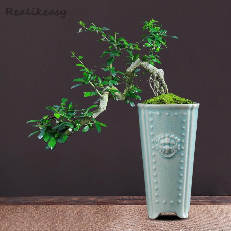 Creative Chinese Ceramic Flowe - Pilea Peperomioides 评论和价格