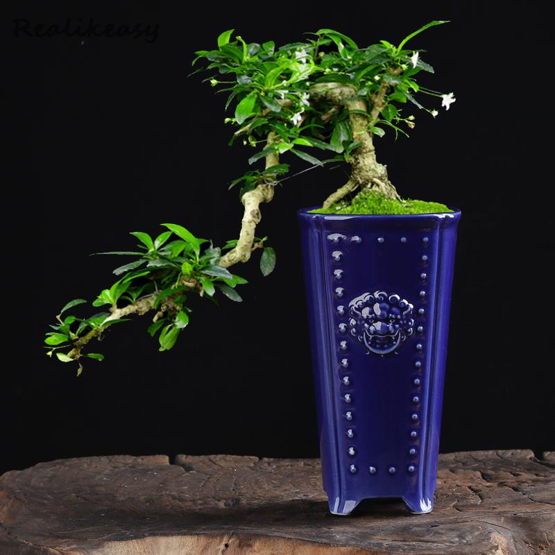 Creative Chinese Ceramic Flowe - Pilea Peperomioides 评论和价格